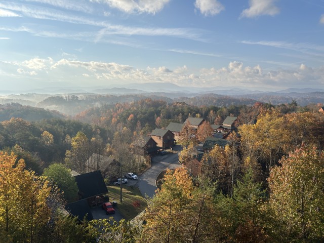 A bright forest in fall with yellow and red leaves from above. Other cabins are visible in a small cul de sac.